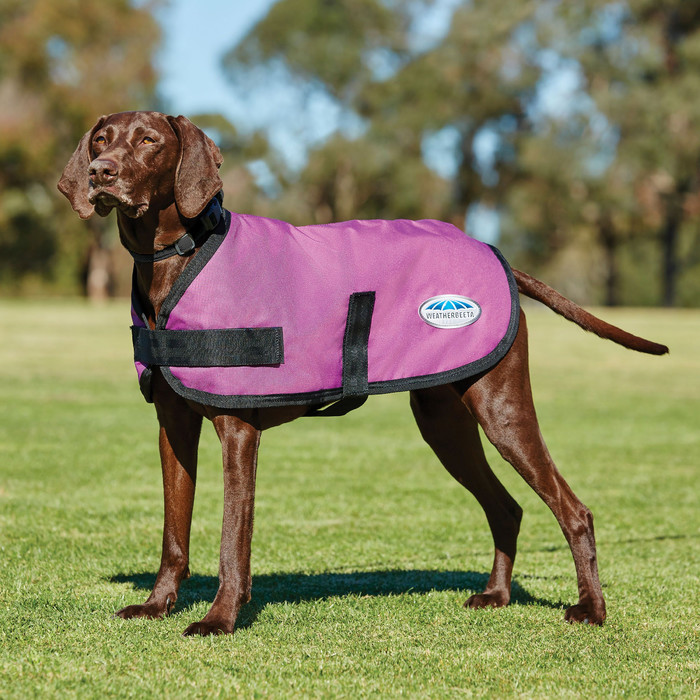 2022 Weatherbeeta Comfitec Classic Dog Coat 1001617 - Pink